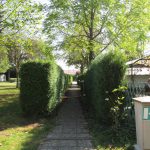 IMG_1431 150X150 | Camping de Masevaux Emplacements camping Alsace, Vosges Audincourt 4
