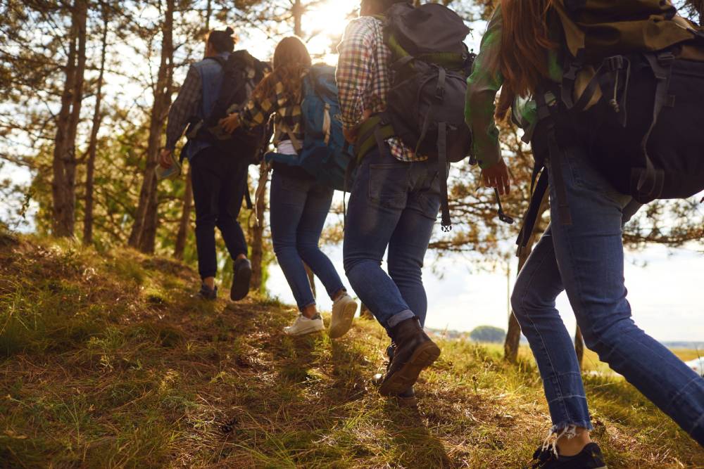 BIENFAIT_RANDONNéE | Camping de Masevaux Quels sont les bienfaits de la randonnée ? Héricourt