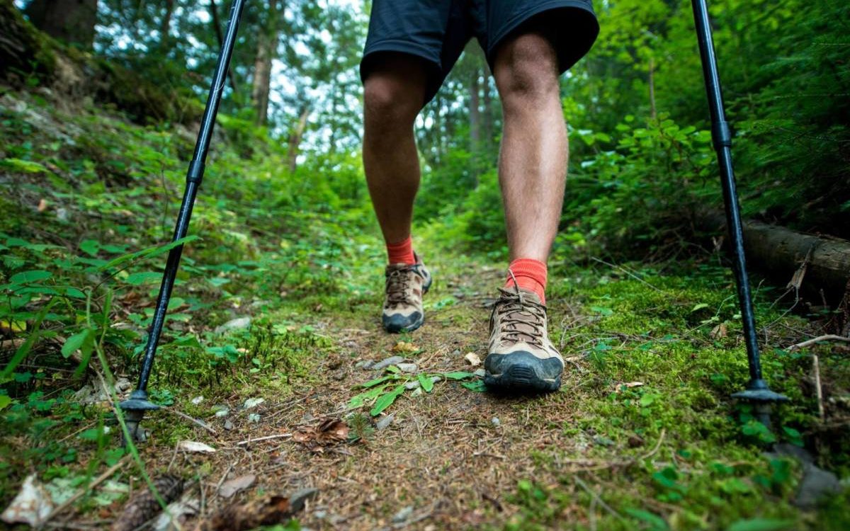 DEBUTER_RANDONNEE 1200X750 | Camping de Masevaux Comment bien choisir ses chaussures de randonnée pour différents types de terrains ? Kingersheim