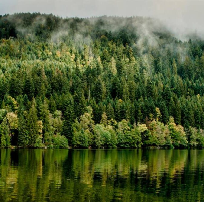 Quelles destinations pr&eacute;voir lors d&rsquo;une randonn&eacute;e dans les Vosges ? Illzach
