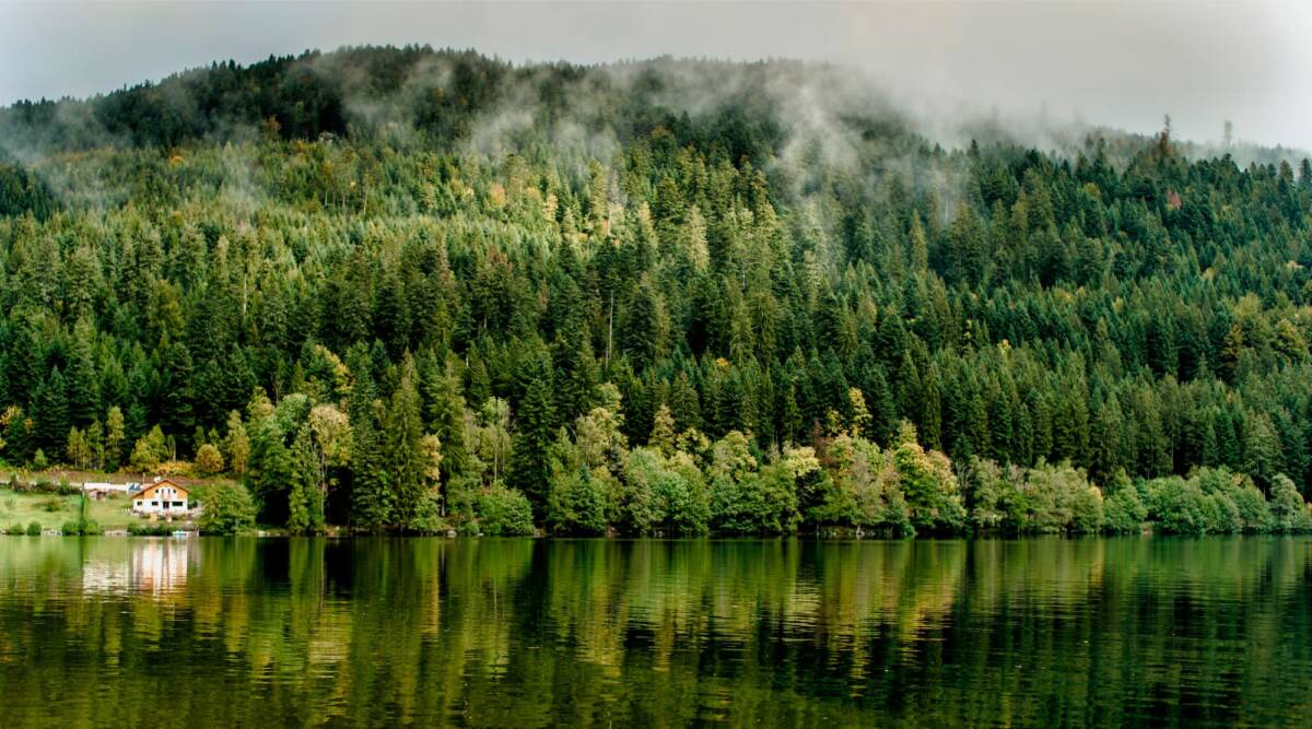 RANDONNEE_DANS_LES_VOSGES | Camping de Masevaux Quelles destinations prévoir lors d’une randonnée dans les Vosges ? Illzach