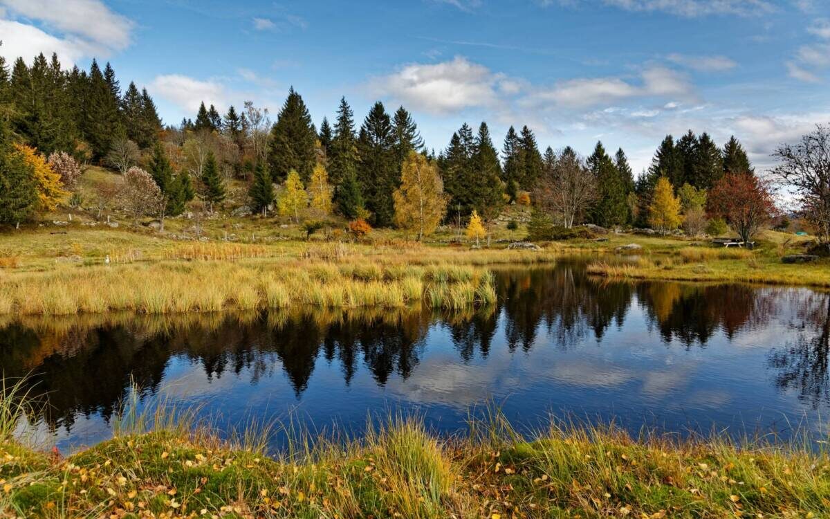 VOSGES 1200X750 | Camping de Masevaux Quelles activités en pleine nature pour ses vacances dans les Vosges ? Cernay