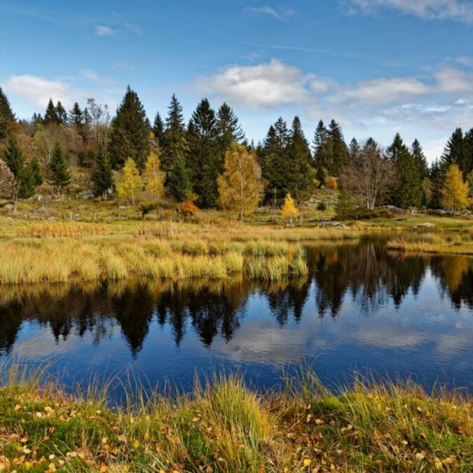 Quelles activit&eacute;s en pleine nature pour ses vacances dans les Vosges ? Cernay