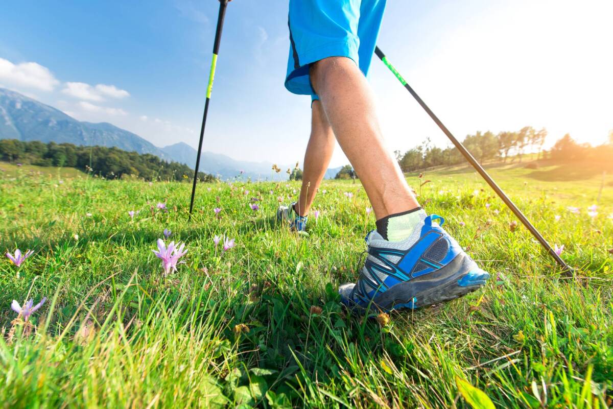 RANDONNEE | Camping de Masevaux Quels sont les différents types de randonnée ? Illzach 0